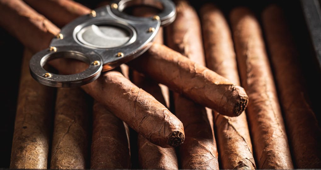 Puros Empatía Esmeralda en Panamá: un arte de sabor